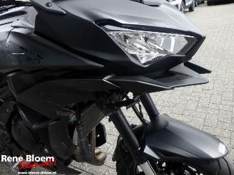 Kawasaki Versys 650 picture 20