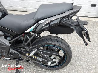 Kawasaki Versys 650 picture 12