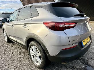 Opel Grandland X 1.2 Turbo 131pk 6-bak Online Edition - nap - navi - clima - cruise - pdc v+a - carplay - privacy glass picture 7