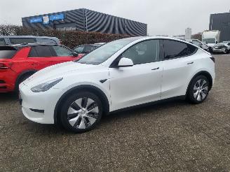 Vaurioauto  passenger cars Tesla Model Y MODEL Y RWD 58 kWh 52000 km rijdbaar 2024/11