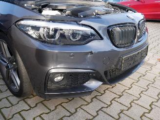 BMW 2-serie 220 d M-SPORT LED picture 6