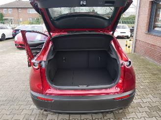 Mazda CX-30 NAGISA LED 2WD picture 15