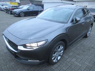 Avarii autoturisme Mazda CX-30 2.0 E-SKYACTIV-X 186pk AWD Aut. MildHybrid  Bose-Sound Climatronic Leer Navi Schuifdak Stoel/Stuur-Verwarming 2021/5