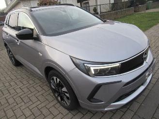 Unfallwagen Opel Grandland GrandLand X 1.2B 130pk AUT. INNOVATION  Climatronic HalfLeer Navi Camera Stoel/StuurVerwarming 2023/4