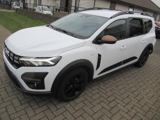 Dacia Jogger TCe  Extreme Edition 54.200km  Climat Navi Camera Keyless-Go picture 10