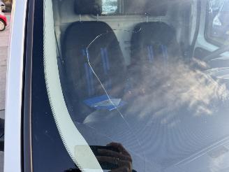 Fiat Fiorino 1.4 SX CNG picture 17