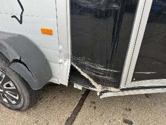 Cheval Liberte  2 paards picture 9