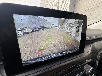 Ford Kuga Kuga 2.5 Duratec PHEV Vignale CVT Panorama picture 10