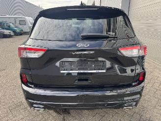 Ford Kuga Kuga 2.5 Duratec PHEV Vignale CVT Panorama picture 3