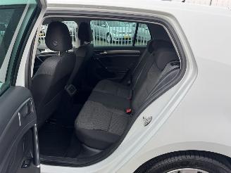 Volkswagen Golf 1.6 TDI 81Kw Clima Navi picture 13