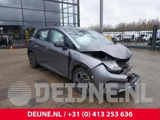 Autoverwertung BYD Dolphin Dolphin, Hatchback 5-drs, 2021 60,4 kWh 2024/3