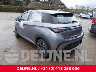 BYD Dolphin Dolphin, Hatchback 5-drs, 2021 60,4 kWh picture 5