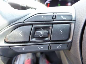 Toyota Yaris Cross Hybrid picture 13