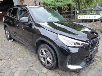 BMW X1 25 e xDrive picture 5