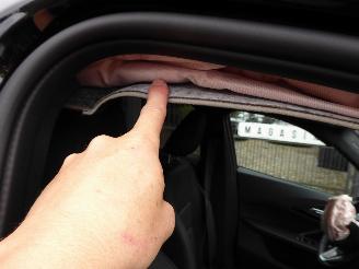 BMW X1 25 e xDrive picture 16