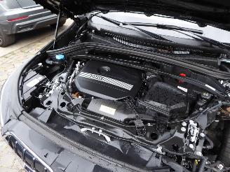 BMW X1 25 e xDrive picture 11