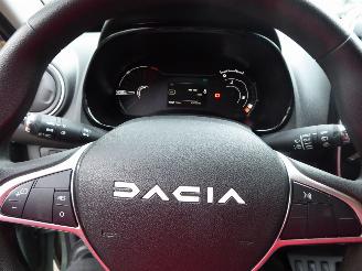 Dacia Spring Expression picture 13