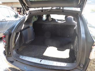 Tesla Model X Performance Dual picture 15