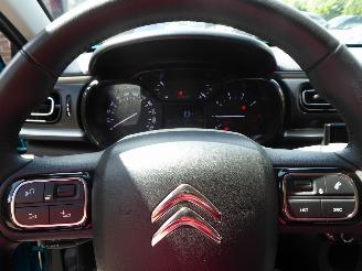 Citroën C3 Shine picture 11