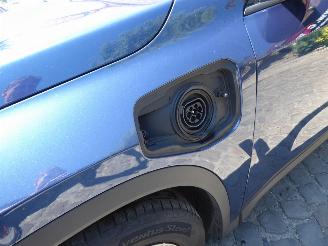 BMW X1 xDrive 25 e picture 2