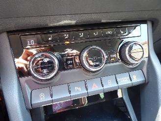 Skoda Karoq Selection picture 25