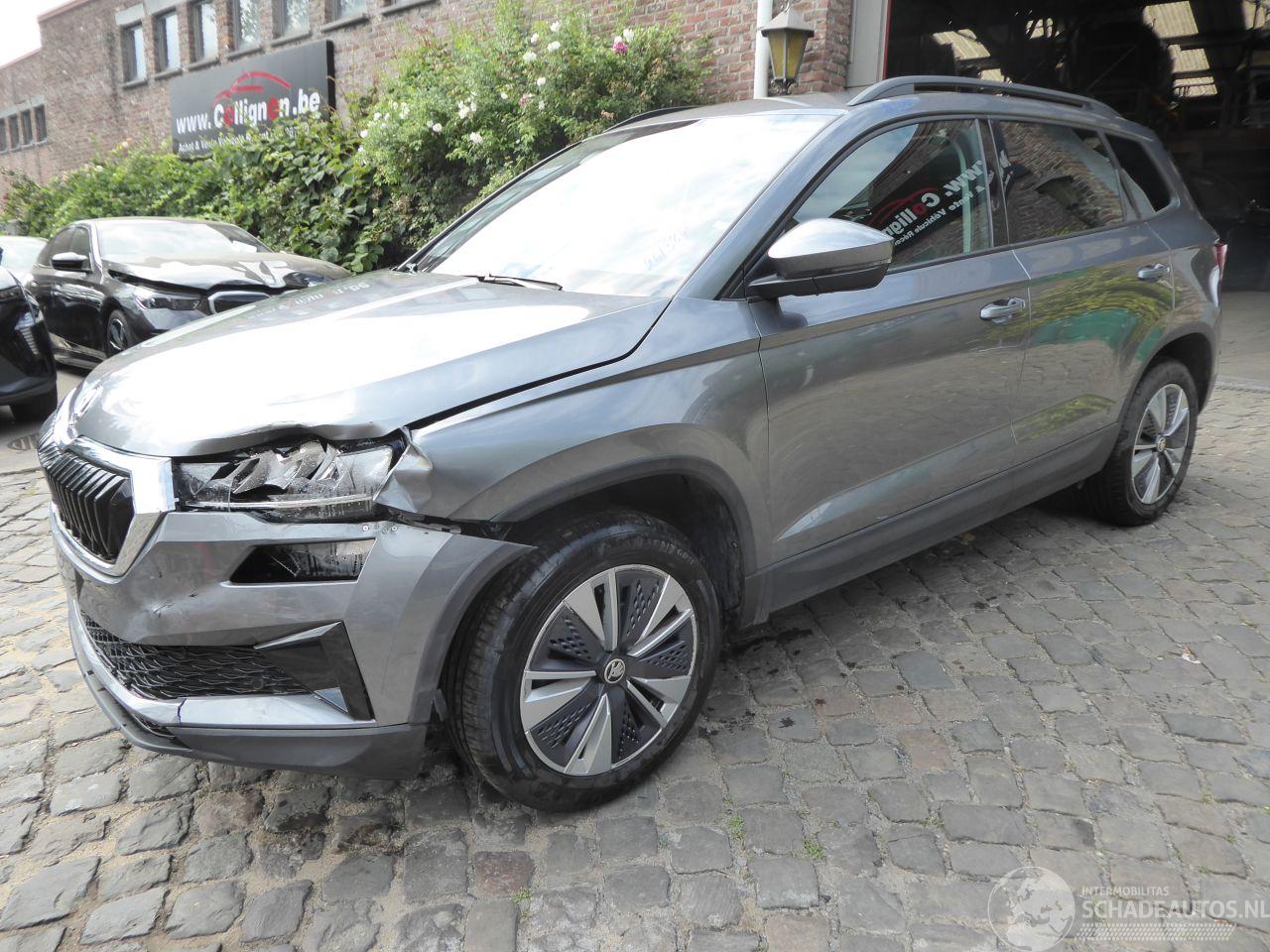Skoda Karoq Ambition