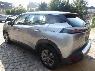 Peugeot 2008 e- Active picture 11