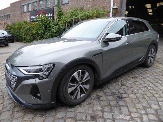 Damaged car Audi Q8 e-tron 50 quattro advanced 2024/8