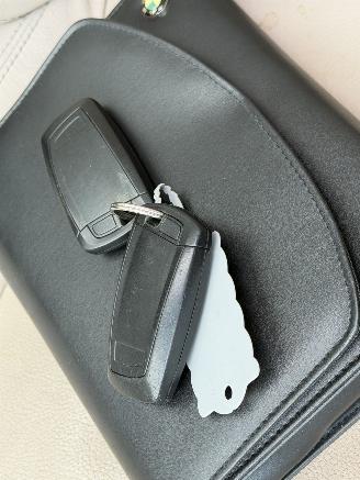 BMW X3 xDrive20d Panorama Camera Leer picture 15