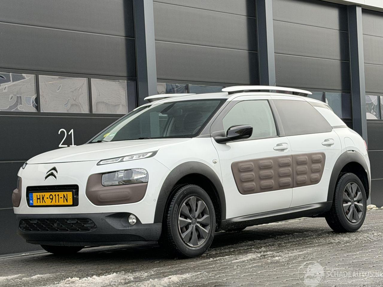 Citroën C4 cactus 1.6 BlueHDi Panorama Camera