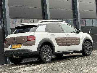 Citroën C4 cactus 1.6 BlueHDi Panorama Camera picture 4