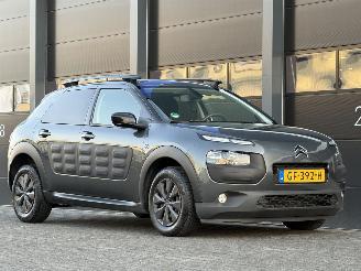 Citroën C4 cactus 1.6 BlueHDi Panorama Camera EURO-6 picture 2