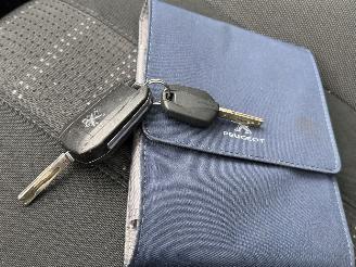 Peugeot 308 1.6 BlueHDI Blue Camera Panorama EURO-6 picture 13