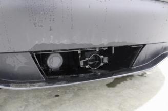 Tesla Model Y  picture 19