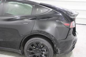 Tesla Model Y  picture 6