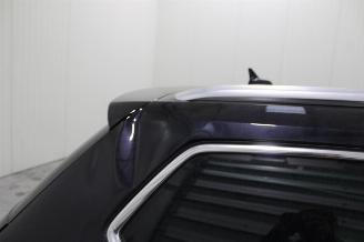 Volkswagen Passat  picture 18