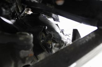 Fiat Panda  picture 16