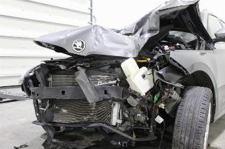 Skoda Kamiq  picture 22