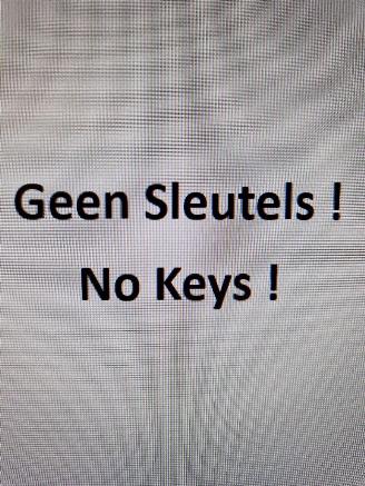 Fiat 500  picture 15