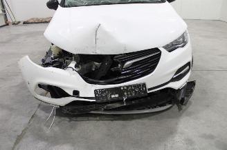 Opel Grandland X picture 7