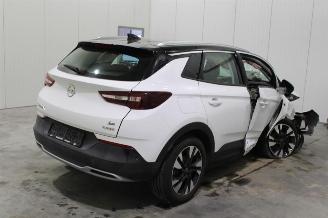 Opel Grandland X picture 4