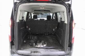 Ford Tourneo  picture 21