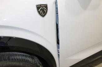 Peugeot 3008  picture 13