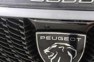 Peugeot 3008  picture 19