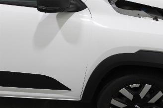 Dacia Spring  picture 22