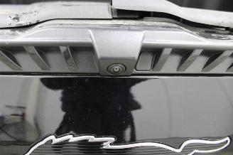 Ford Mustang Mach-e  picture 24