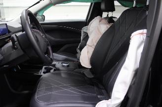 Ford Mustang Mach-e  picture 10