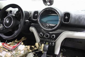 Mini Cooper _COUNTRYMAN picture 10