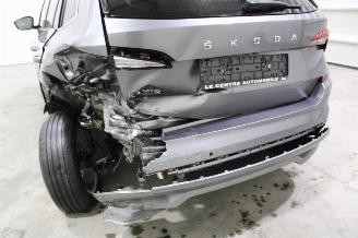 Skoda Kamiq  picture 5