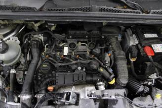 Citroën Berlingo  picture 14